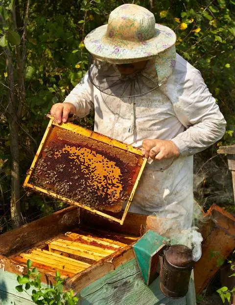 Пчеловоды в защитной одежде
