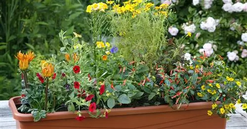 Цветочные ящики с резервуаром для воды