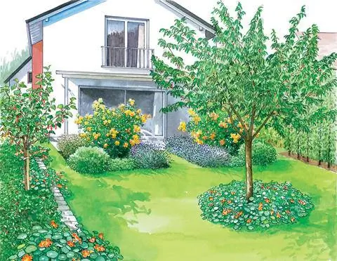 Закусочный сад с фруктовым деревом