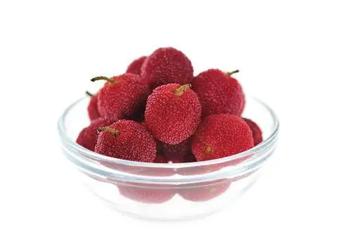 Плоды тополя сливы