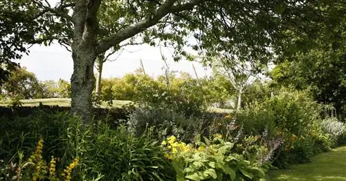 Обратите внимание на предельное расстояние для деревьев, кустов и живых изгородей