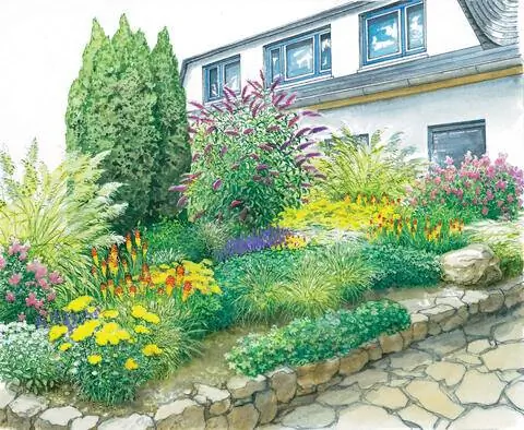 Цветущие кустарники, многолетники, декоративные травы, палисадники