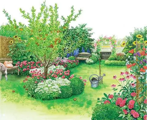 Финал цветения в дачном саду