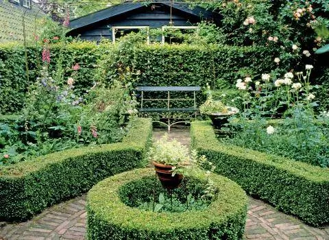 Дизайн сада с самшитом