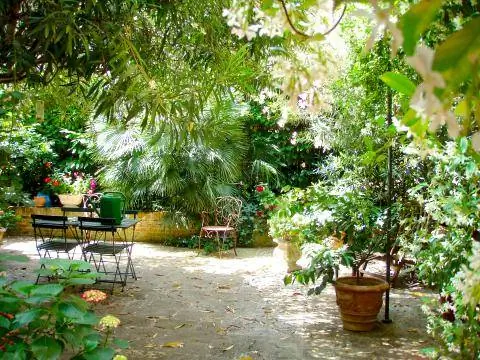 дикий городской сад