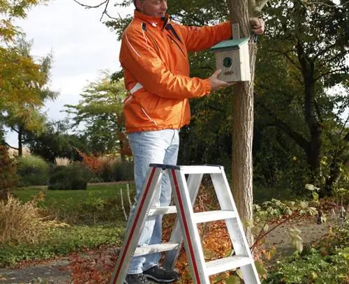 Мужчина висит на гнезде лестницы