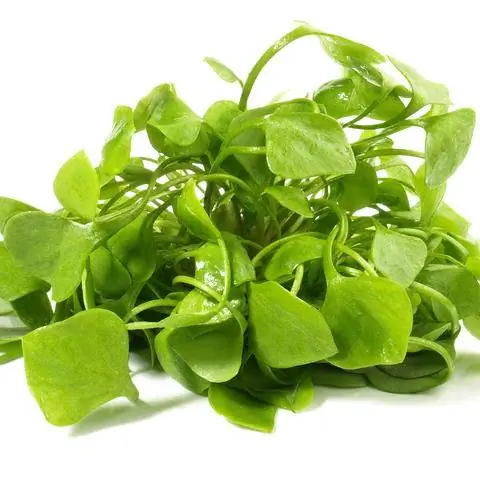 зимний постелин