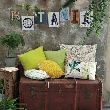 Морской ствол и каштановое дерево