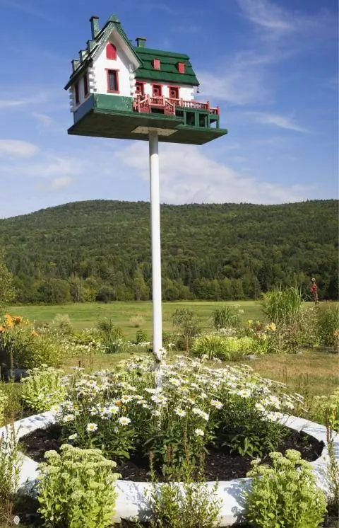 Экстравагантная кормушка