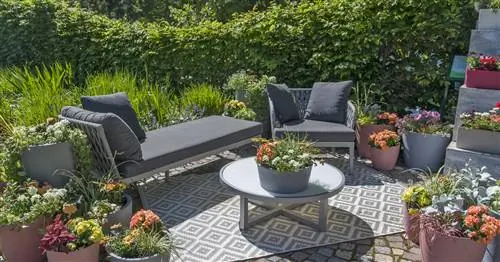 Горшечный сад, полный идей