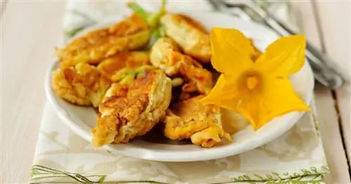 Поедание цветков кабачка: 3 отличных рецепта