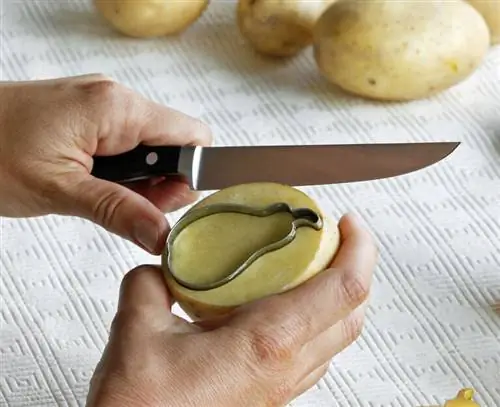 Картофельная печать шаг 2