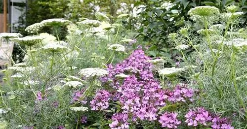 Наш сад идей в Иппенбурге