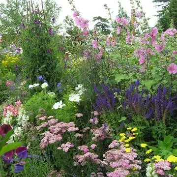 Коттеджный сад с летними цветами и многолетней грядкой