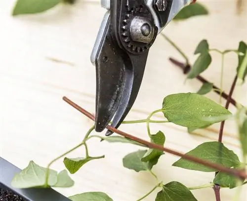 поделиться диском