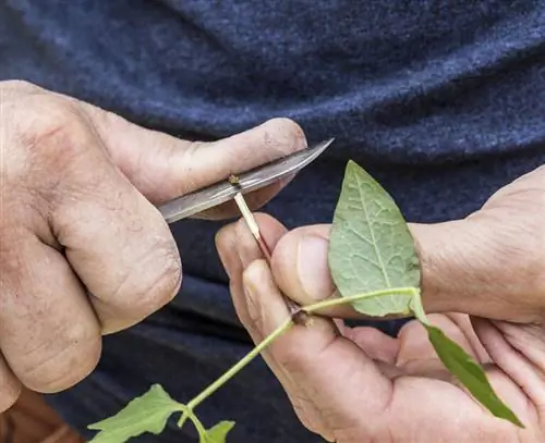 Вырезать и скосить детали