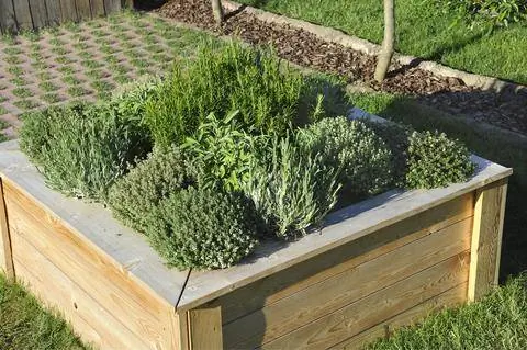 Полуростовая кровать с травами