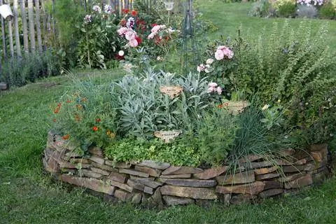 грядка с травой