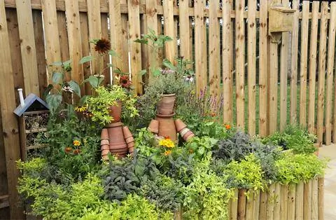 грядка с травой