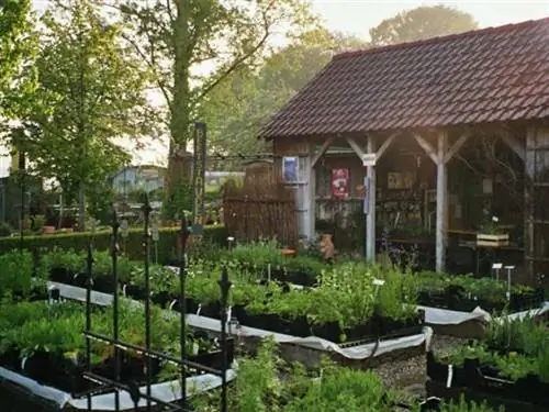 торговая площадь