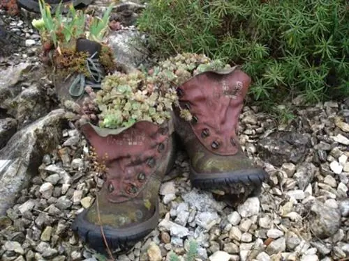 ботинки для прогулки