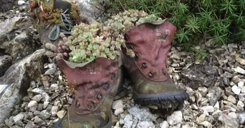 30 лет питомнику многолетних растений Gaissmayer