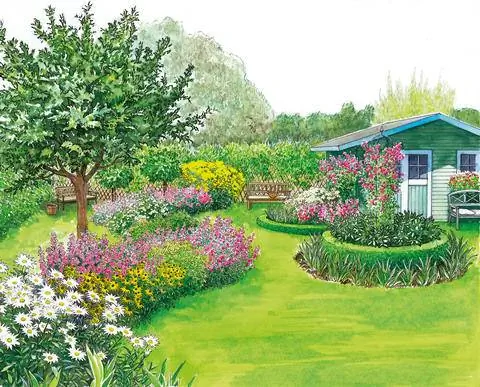 изогнутые клумбы и яблоня