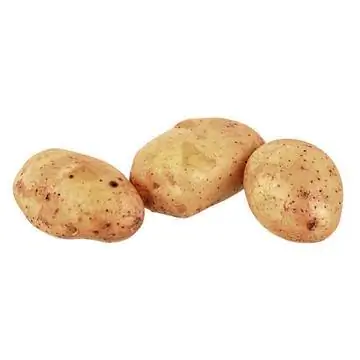 'Зиглинде'