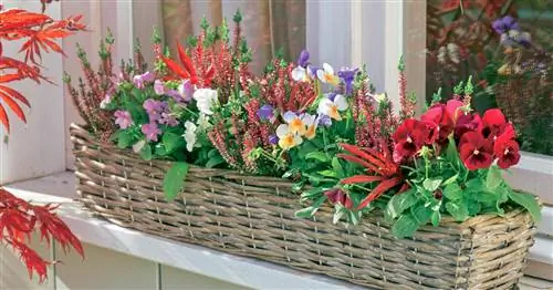 Хайде: Умные идеи декора для осени