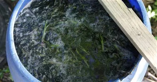 10 проверенных домашних средств против тли и Co