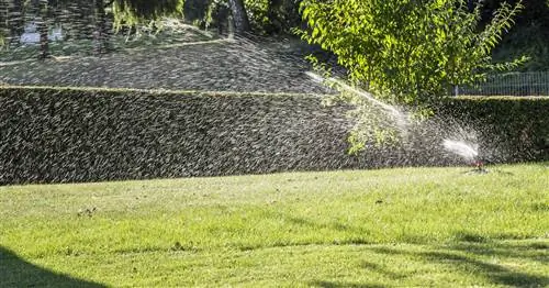 Полив газона: лучшие советы и рекомендации