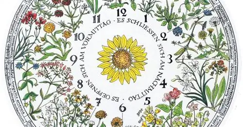 Цветочные часы – каждому цветку свое время