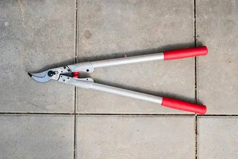 Сиена Байпас Премиум