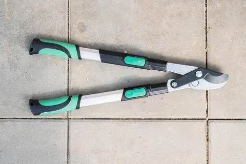 Мастер обход Премиум