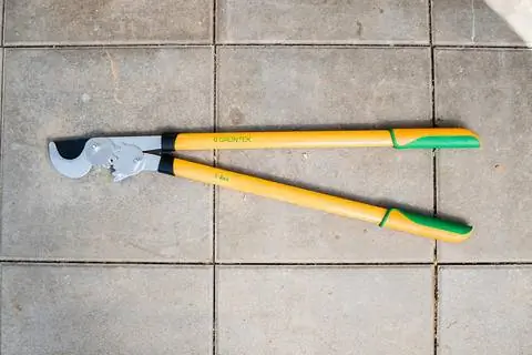 Гринтек Т-РЕКС