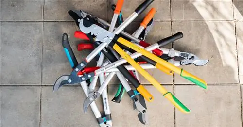 Сучкорезы: советы по тестированию и покупке