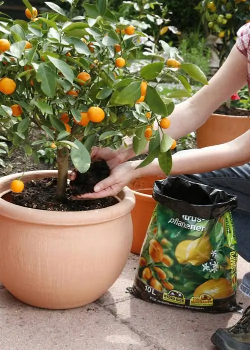 Заполнить щели грунтом