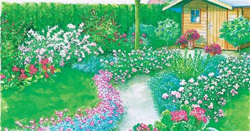 Две идеи для простого в уходе цветочного царства