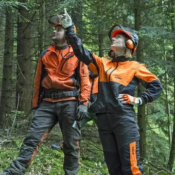 Речь дерева перед вырубкой