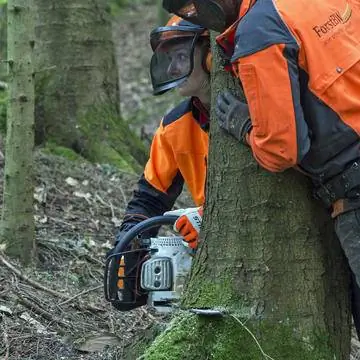 Сделайте надрез подошвы при валке дерева