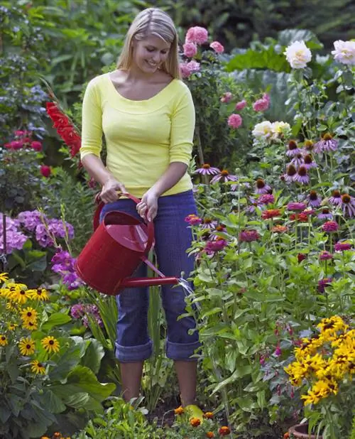 Полейте многолетник