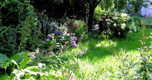 Растения для полутенистых и тенистых мест