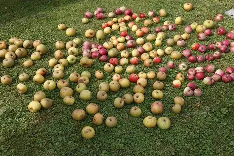 неожиданная удача