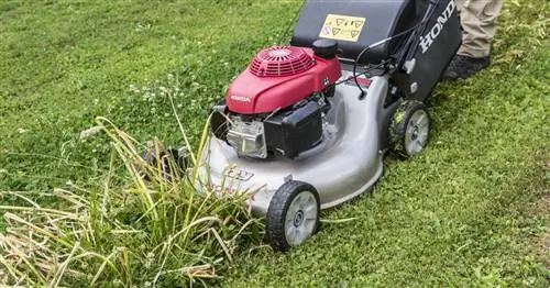 Соседские споры из-за сада: Вот что советует юрист