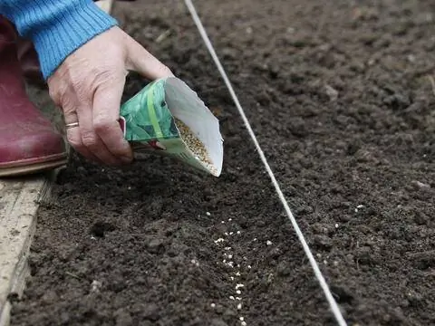 Сеять органические семена