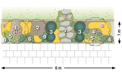 План посадки садовых ворот грядки