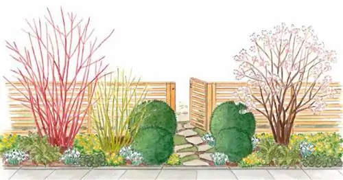 Для пересадки: пружинная грядка на заборе сада