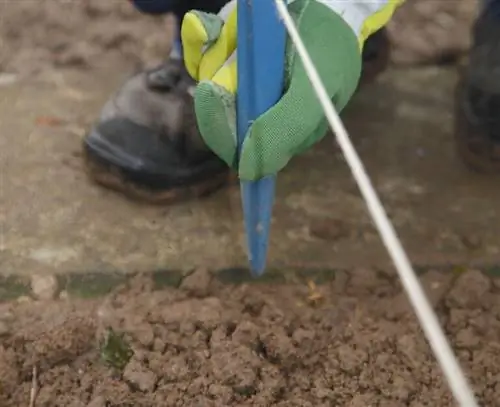 Настройте линию растений