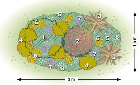 План посадки красочного ковра из цветов