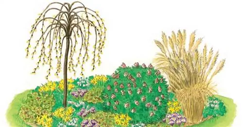 Для пересадки: красочный ковер из весенних цветов